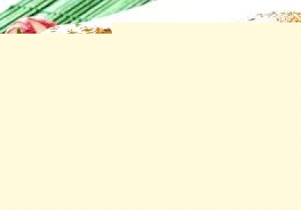 Adob  del Mediterrani