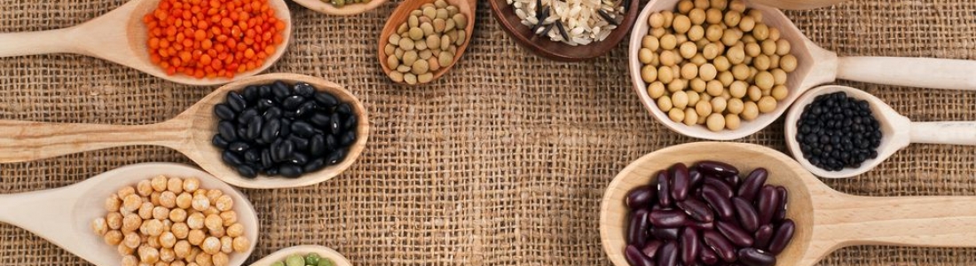 ¿Cuáles son las legumbres más nutritivas?